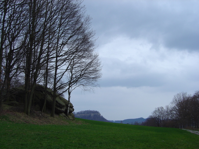 DSC07855